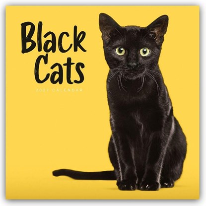 Black Cats (PFP) W, Carousel Calendar - Paperback - 9781529858525