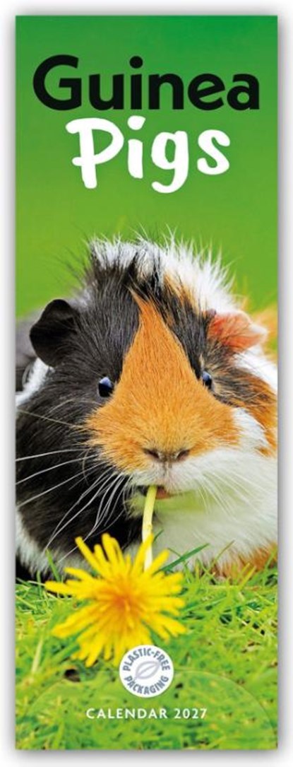 Guinea Pigs (PFP)Slim, Carousel Calendar - Paperback - 9781529858693