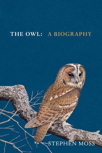 The Owl, Stephen Moss - Gebonden - 9781529908268