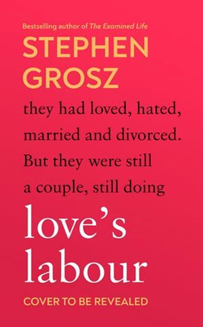 Love’s Labour, Stephen Grosz - Ebook - 9781529926491