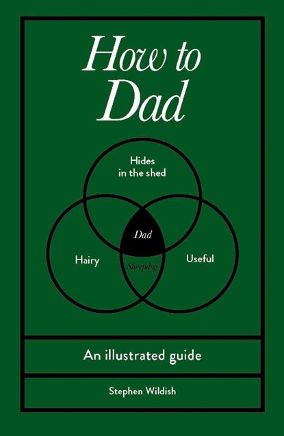 How to Dad, Stephen Wildish - Gebonden - 9781529954449