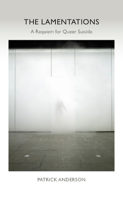 The Lamentations, Patrick Anderson - Paperback - 9781531508289