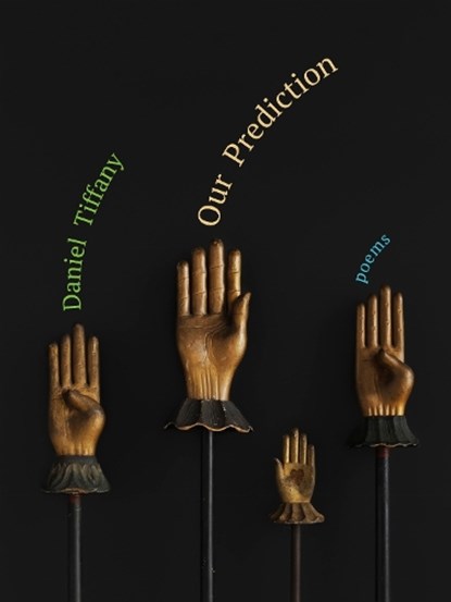 Our Prediction, Daniel Tiffany - Paperback - 9781531513139