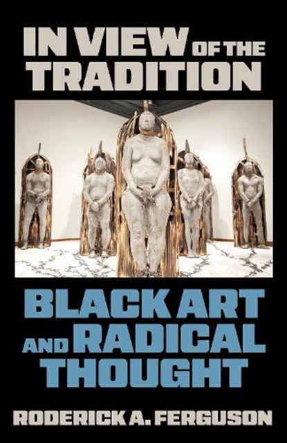 In View of the Tradition, Roderick Ferguson - Gebonden - 9781531513443
