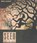 Seed, Ania Ahlborn - AVM - 9781531882334