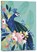 PEACOCK 2021 WEEKLY PLANNER, SELLERS PUBLISHING I - Paperback - 9781531909659