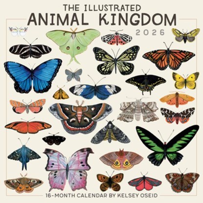 2026 Illustrated Animal Kingdom, the -- Kelsey Oseid Wall Calendar, Kelsey Oseid - Gebonden - 9781531943646