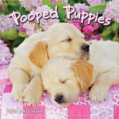2026 Pooped Puppies Mini Calendar, Inc Sellers Publishing - Gebonden - 9781531943813