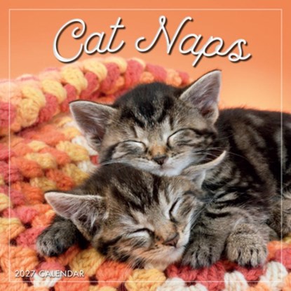 Cat Naps, Inc Sellers Publishing - Gebonden - 9781531961701