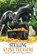 Stealing Gypsy Treasure, Joyce M Christian - Paperback - 9781532052408