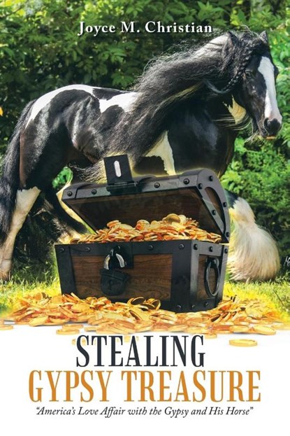 Stealing Gypsy Treasure, Joyce M Christian - Paperback - 9781532052408