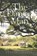 The Dance Man, HAYES,  Stephen - Paperback - 9781532059285