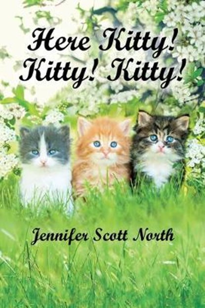 Here, Kitty! Kitty! Kitty!, NORTH,  Jennifer Scott - Paperback - 9781532084157