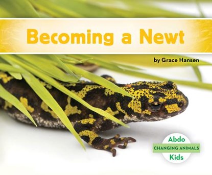Becoming a Newt, Grace Hansen - Gebonden - 9781532108181