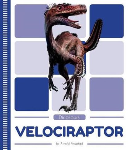 Velociraptor, RINGSTAD,  Arnold - Gebonden - 9781532161841