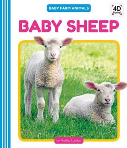 Baby Sheep, Martha London - Gebonden - 9781532167485