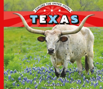 Texas, Sarah Tieck - Gebonden - 9781532191473