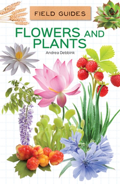 Flowers and Plants, Andrea Debbink - Gebonden - 9781532196959