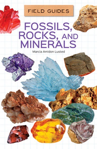 Fossils, Rocks, and Minerals, Marcia Amidon Lusted - Gebonden - 9781532196966