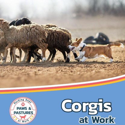 Corgis at Work, Sabrina Lakes - Gebonden - 9781532455476