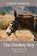 Harrison, D: Donkey Boy, Doreen Harrison - Paperback - 9781532669361