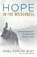 Hope in the Wilderness, Noel Forlini Burt - Paperback - 9781532689345