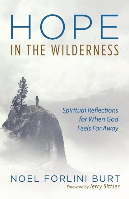 Hope in the Wilderness, Noel Forlini Burt - Paperback - 9781532689345