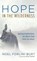 Hope in the Wilderness, Noel Forlini Burt - Gebonden - 9781532689352