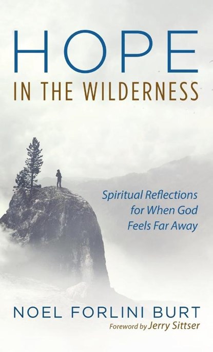 Hope in the Wilderness, Noel Forlini Burt - Gebonden - 9781532689352