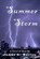 Summer Storm, WARREN,  James a. - Paperback - 9781533414212