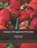 Category Management Principles, Brian F. Harris - Paperback - 9781533452498