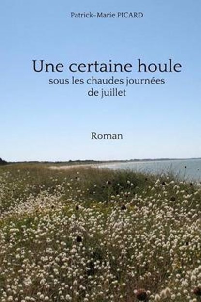Une Certaine Houle, PICARD,  Patrick-Marie - Paperback - 9781533606488