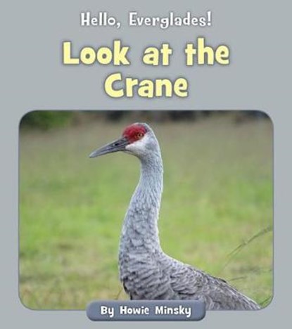 Look at the Crane, MINSKY,  Howard - Paperback - 9781534157118