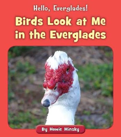 Birds Look at Me in the Everglades, MINSKY,  Howard - Paperback - 9781534157163