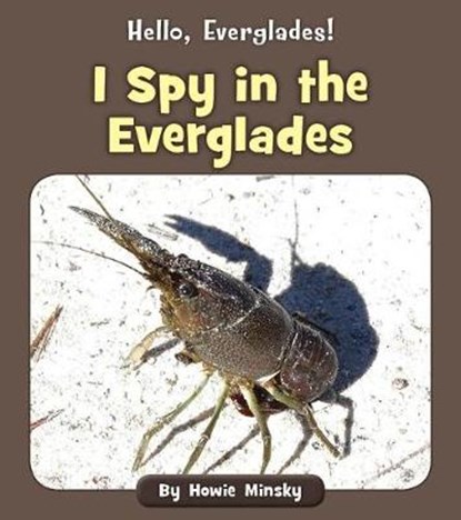 I Spy in the Everglades, MINSKY,  Howard - Paperback - 9781534157224