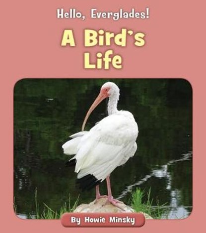 A Bird's Life, MINSKY,  Howard - Paperback - 9781534157279