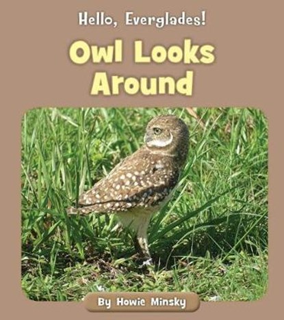 Owl Looks Around, MINSKY,  Howard - Paperback - 9781534157316