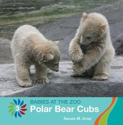 Polar Bear Cubs, GRAY,  Susan H. - Paperback - 9781534161269