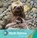 Sloth Babies, GRAY,  Susan H. - Paperback - 9781534161276