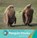 Penguin Chicks, GRAY,  Susan H. - Paperback - 9781534161283