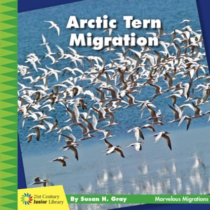 Arctic Tern Migration, Susan H. Gray - Paperback - 9781534170254