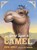 Once Upon a Camel, Kathi Appelt - Paperback - 9781534406445