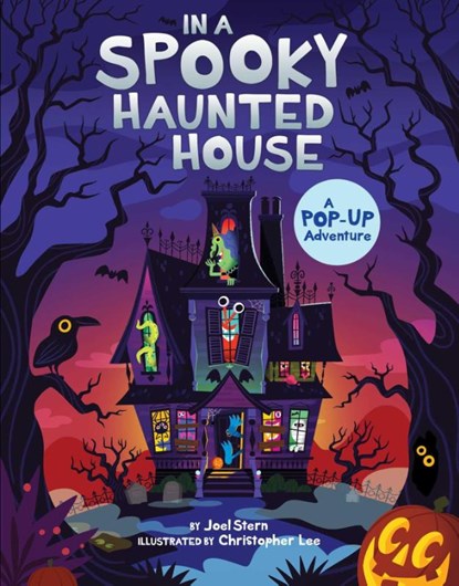 In a Spooky Haunted House, Joel Stern - Gebonden - 9781534460362
