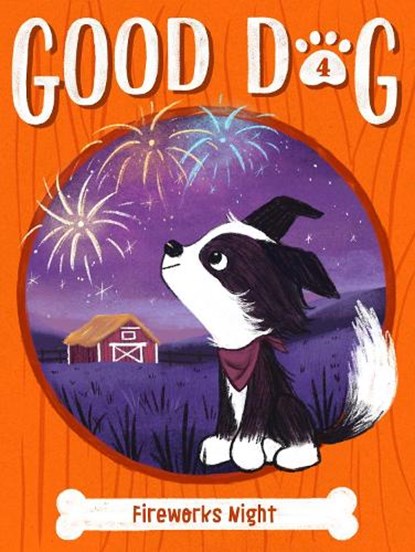 Fireworks Night, Cam Higgins - Paperback - 9781534495319