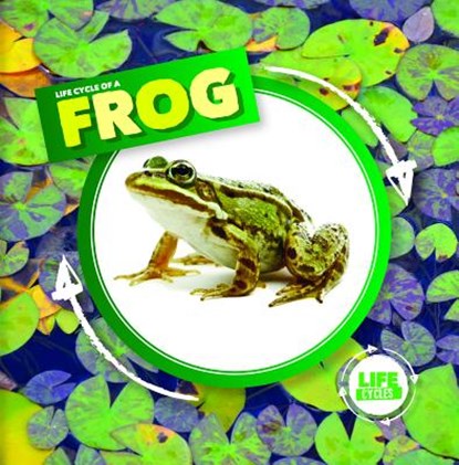 Life Cycle of a Frog, Kirsty Holmes - Paperback - 9781534526365