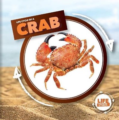 LIFE CYCLE OF A CRAB, HOLMES,  Kirsty - Gebonden - 9781534537804