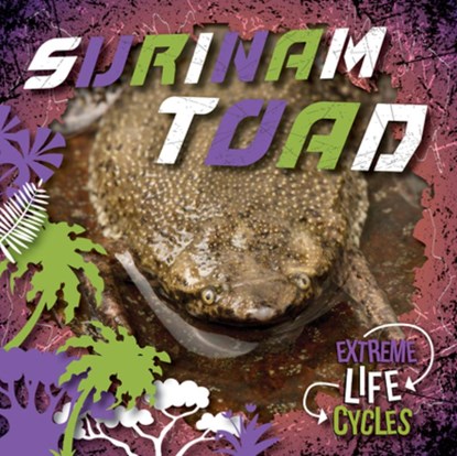 Surinam Toad, E. C. Andrews - Paperback - 9781534547070