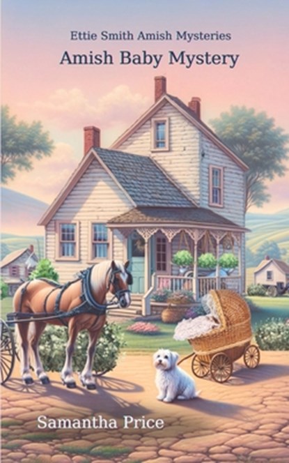 Amish Baby Mystery, Samantha Price - Paperback - 9781534656307