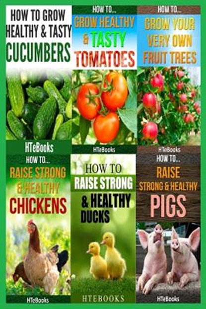 6 books in 1, Htebooks - Paperback - 9781535440370