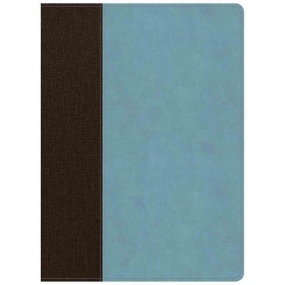 CSB Life Essentials Study Bible, Brown/Sky Leathertouch, Indexed, GETZ,  Gene A. - Gebonden - 9781535956499